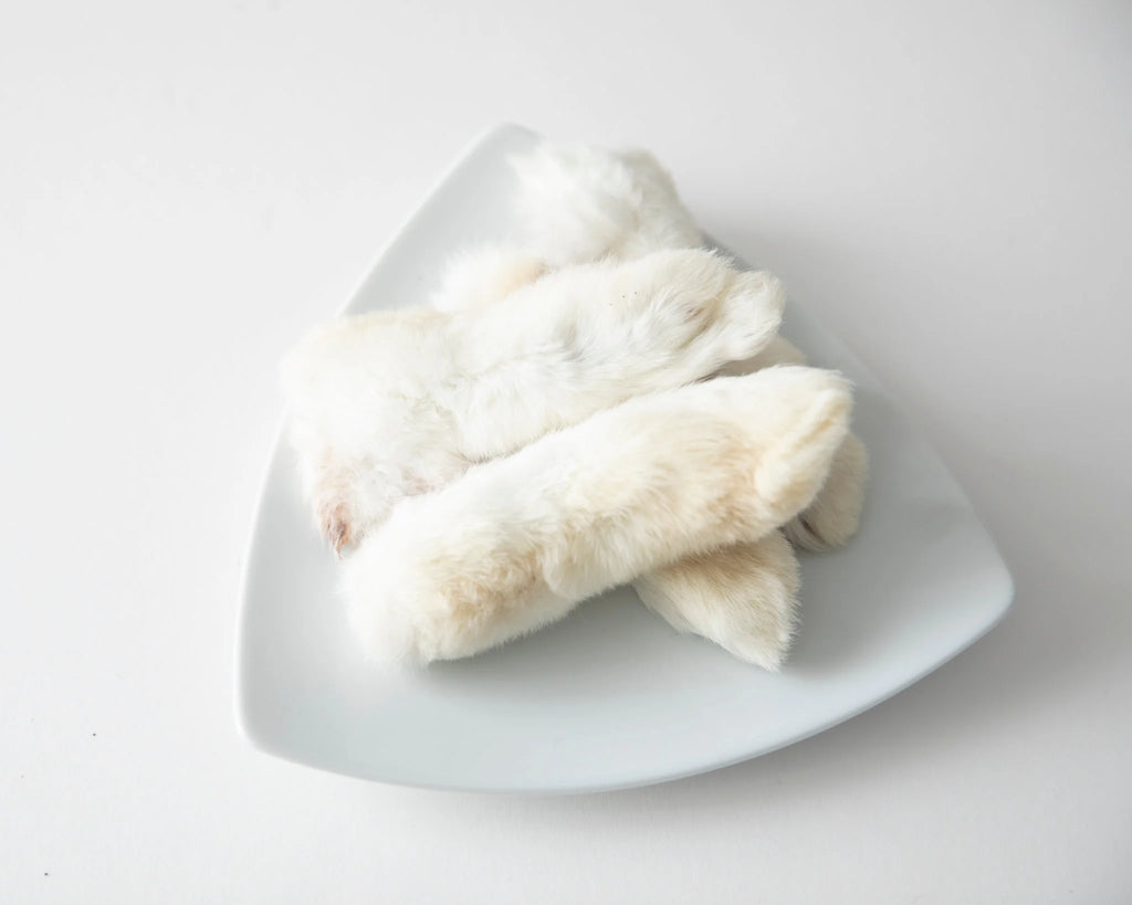 GVQ - Patte de lapin. Bêtes Gourmandes, boutique spécialisée alimentation, éducation et sports pour chiens à Québec.