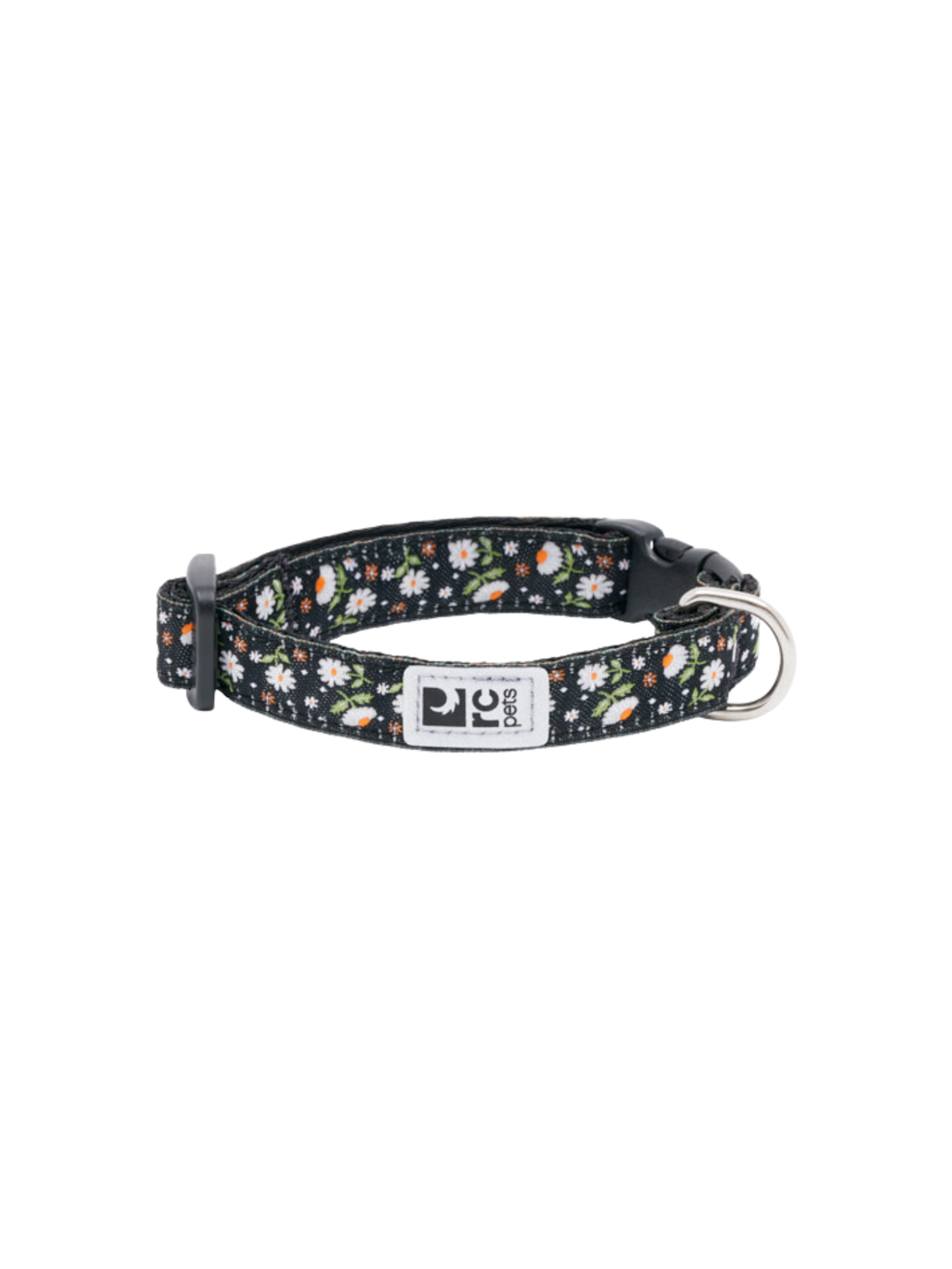 RC PETS - Collier pour petit chien. Bêtes Gourmandes, boutique spécialisée alimentation, éducation et sports pour chiens à Québec.