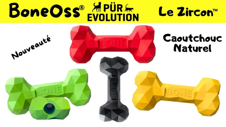 PÜR ÉVOLUTION - Jouet Boneoss® Zircon. Bêtes Gourmandes, boutique spécialisée alimentation, éducation et sports pour chiens à Québec.