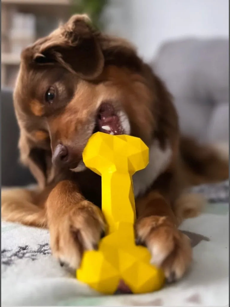 PÜR ÉVOLUTION - Jouet Boneoss® Zircon. Bêtes Gourmandes, boutique spécialisée alimentation, éducation et sports pour chiens à Québec.