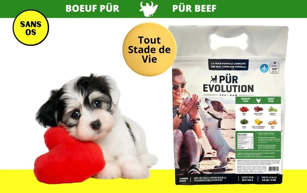 PÜR ÉVOLUTION - Recette au boeuf tout stade de vie (sans os). Bêtes Gourmandes, boutique spécialisée alimentation, éducation et sports pour chiens à Québec.
