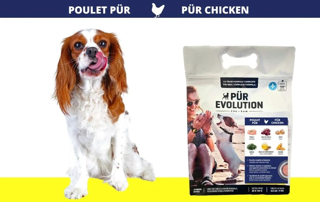 PÜR ÉVOLUTION - Recette ingrédient limité au poulet ADULTE. Bêtes Gourmandes, boutique spécialisée alimentation, éducation et sports pour chiens à Québec.