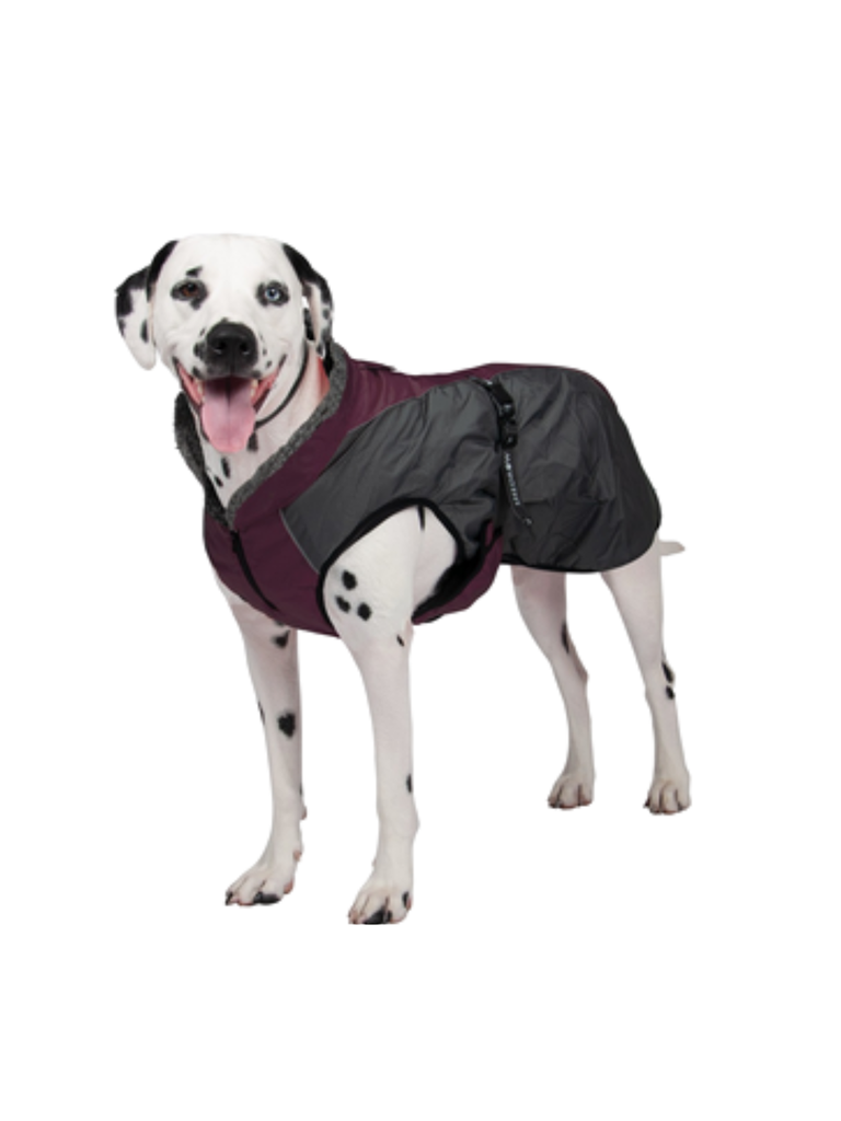Manteau pour chien à couverture complète conçu pour la fonctionnalité et les climats froids. Imperméable avec une doublure en polaire confortable pour plus de chaleur, ce manteau est doté d'une bande ventrale en forme de Y couvrant toute la poitrine pour une protection supplémentaire de la poitrine et du ventre.