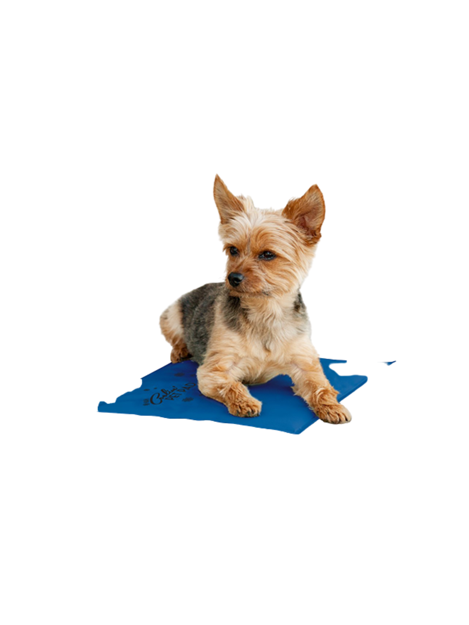 K&H - Tapis rafraichissant pour chien. Bêtes Gourmandes, boutique spécialisée alimentation, éducation et sports pour chiens à Québec.