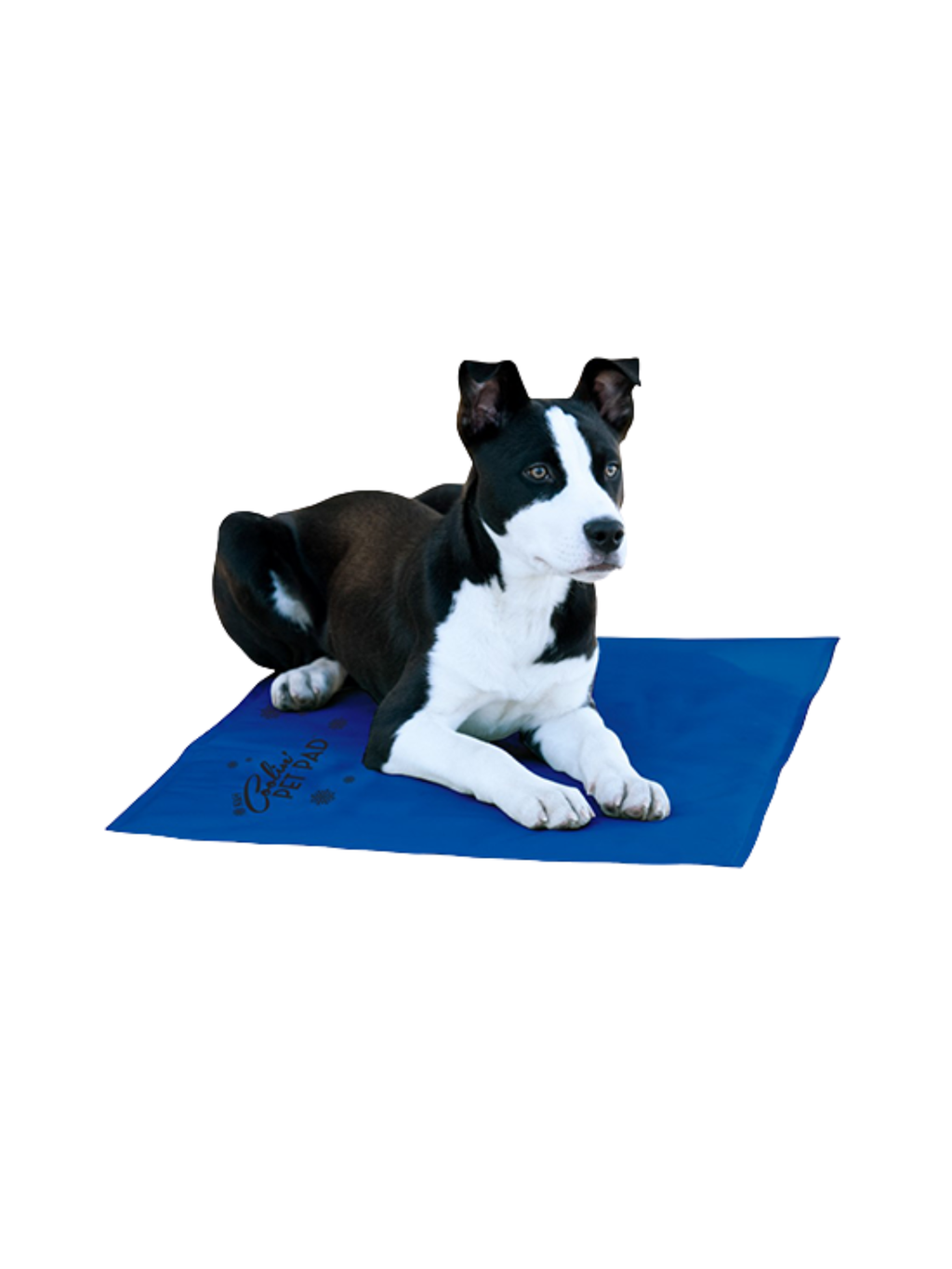 K&H - Tapis rafraichissant pour chien. Bêtes Gourmandes, boutique spécialisée alimentation, éducation et sports pour chiens à Québec.