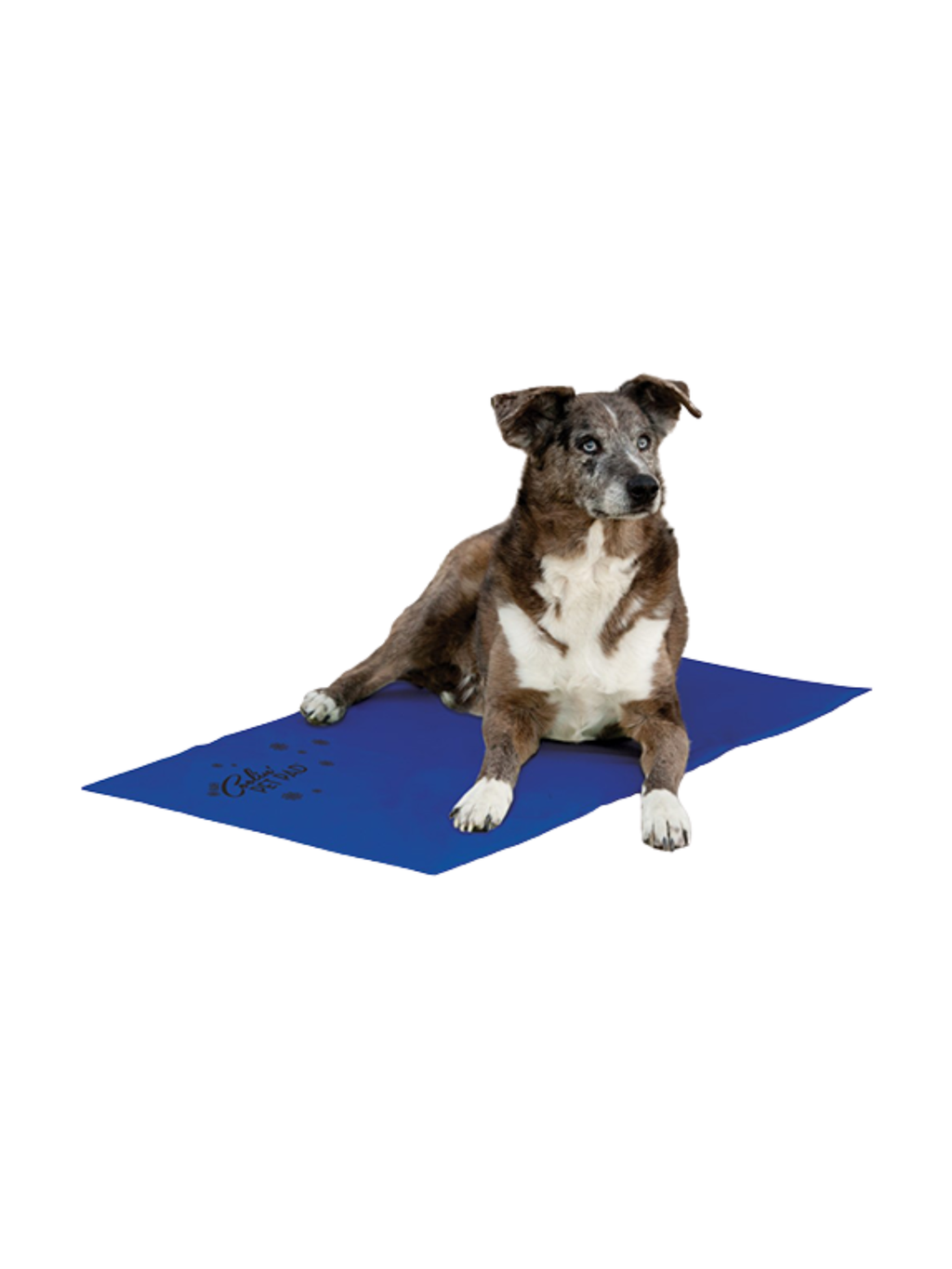 K&H - Tapis rafraichissant pour chien. Bêtes Gourmandes, boutique spécialisée alimentation, éducation et sports pour chiens à Québec.