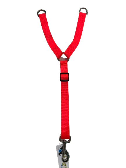 Ceinture de sécurité pour la voiture. Bêtes Gourmandes, boutique spécialisée alimentation, éducation et sports pour chiens à Québec.