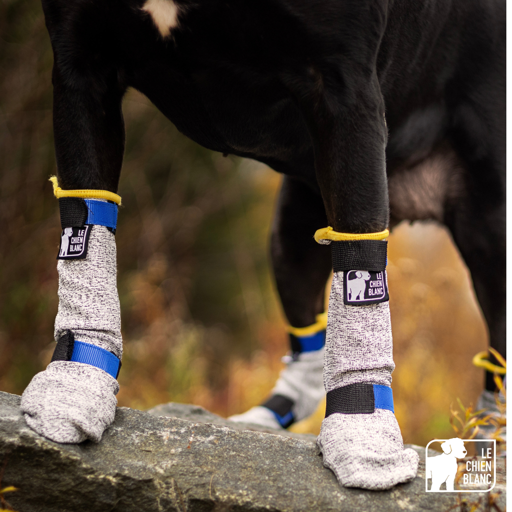 LE CHIEN BLANC - Botte longue anti-coupure. Bêtes Gourmandes, boutique spécialisée alimentation, éducation et sports pour chiens à Québec.