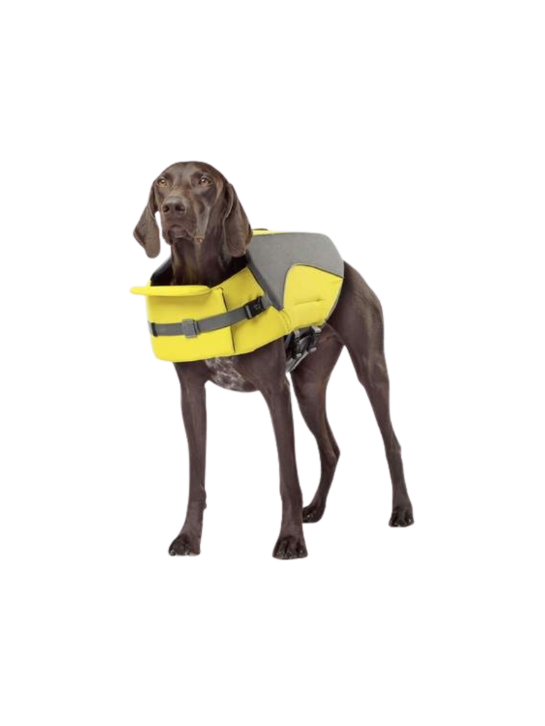 Ne laissez aucun chien sur le quai ou sur le sable cet été avec le gilet de sauvetage Wave Rider. Son design élégant épouse le corps pour une flottabilité complète pour rester à flot et est livré avec un support de tête supplémentaire pour que votre chien puisse pagayer en toute confiance. Tissu extérieur imperméable, mentonnière super flottante pour un soutien supplémentaire de la tête. Panneaux en mesh respirant et sangle ventrale réglable en taille, attache de laisse à anneau en D robuste, poignée de pri