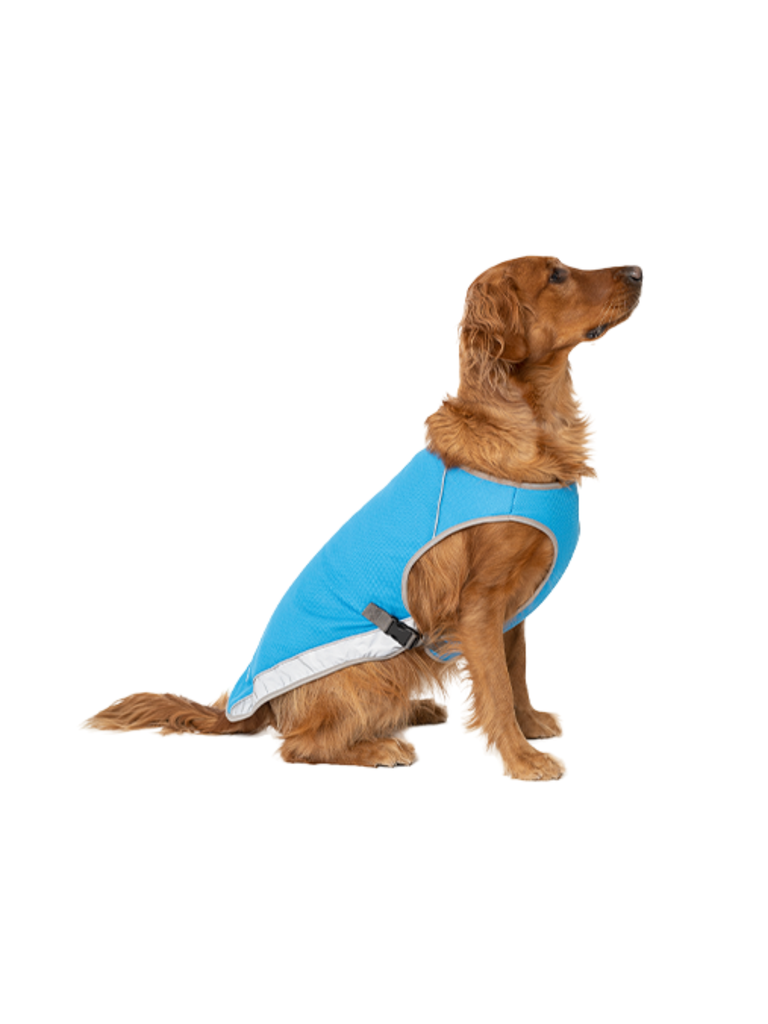 CANADA POOCH - Veste rafraîchissante. Bêtes Gourmandes, boutique spécialisée en alimentation, éducation et sports attelés à Québec.