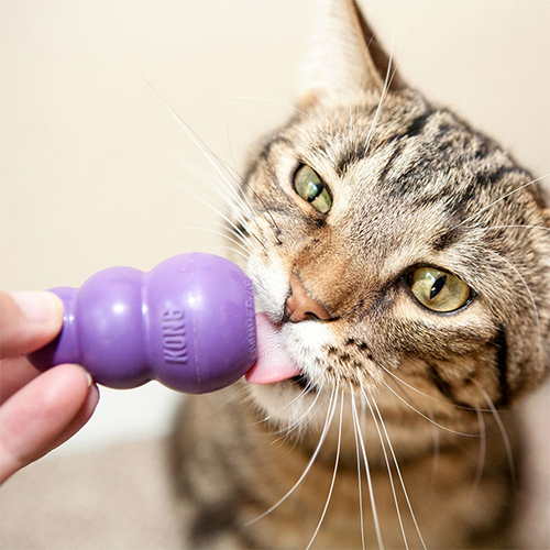 KONG - Original pour chat et chaton