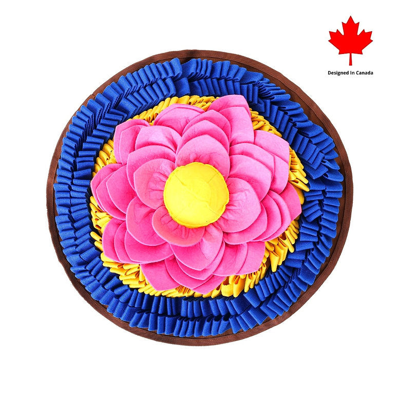 Pawzndogz - Tapis De Fouille Pour Chien. Bêtes Gourmandes, spécialiste en nourriture et produits pour chien et chat en ligne et en magasin à Québec.
