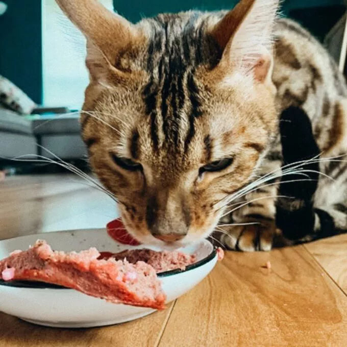 FAIM MUSEAU - Canard & boeuf pour chat