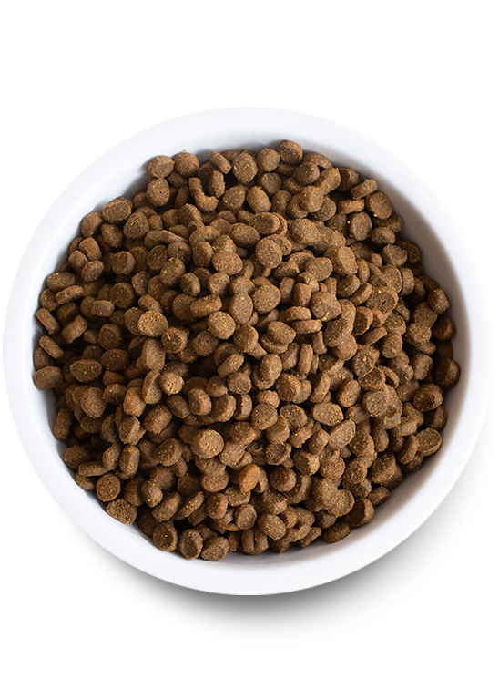 OPEN FARM - Recette pour chat au saumon sauvage