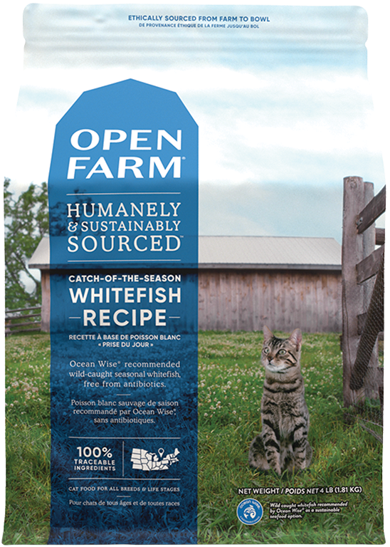 Open Farm, recette au poisson blanc pour chat. Boutique Bêtes Gourmandes, Ville de Québec.