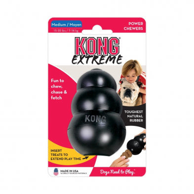 KONG - Kong extrême