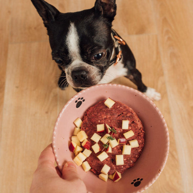 FAIM MUSEAU - Boeuf & pomme pour chien