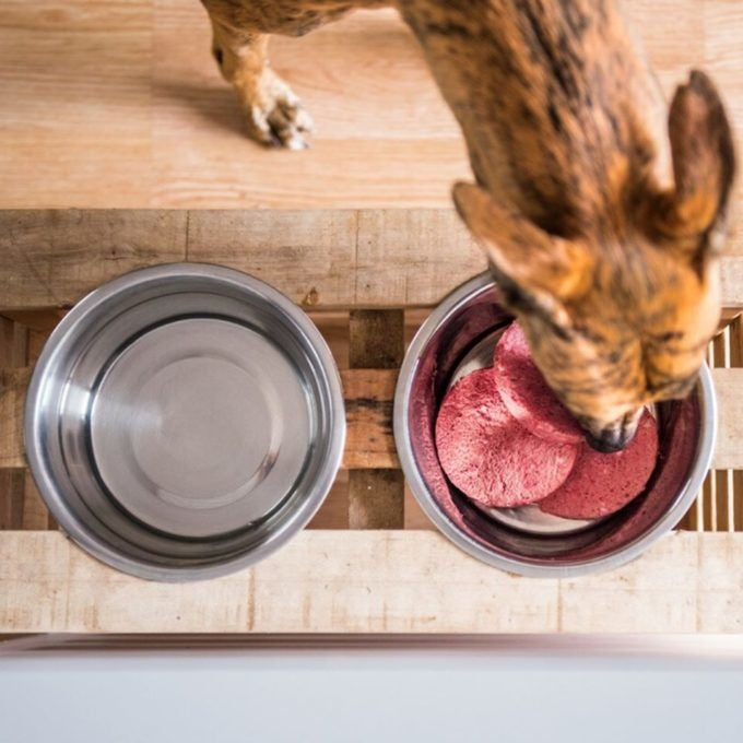 FAIM MUSEAU - Canard hypoallergénique pour chien