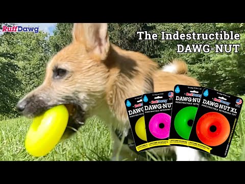 RUFFDAWG - Jouet indestructible anneau